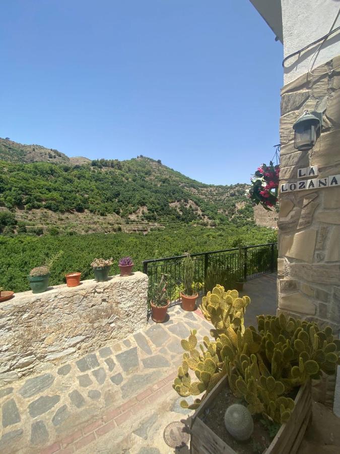 La Lozana - Rio Verde Jete Extérieur photo